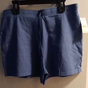 EXPRESS, Periwinkle Blue Casual Shorts